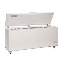 Ristosubito Congelatore A Pozzetto Con 3 Cesti Modello CF708