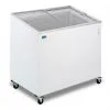Ristosubito Espositore / Conservatore Per Gelati E Surgelati Modello FIVS300