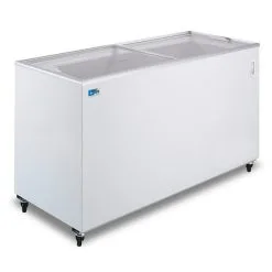 Ristosubito Espositore / Conservatore Per Gelati E Surgelati Modello FVS500